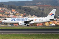 ©Nacho Rodriguez - Canary Islands Spotting. Click to see full size photo ©Nacho Rodriguez - Canary Islands Spotting. Click to see full size photo