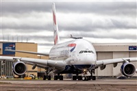 Javier de la Cruz - CANARY ISLANDS SPOTTING. Click to see full size photo