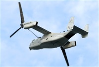 Alejandro H.L - Gran Canaria Spotters. Click to see full size photo