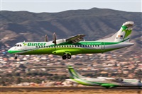 Javier de la Cruz - CANARY ISLANDS SPOTTING. Click to see full size photo