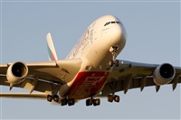 Rubn C.. Click to see full size photo