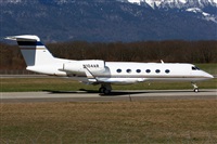 La Roche Spotters. Click to see full size photo