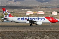 ©Alfonso Solís - Asociación Canary Islands Spotting. Click to see full size photo ©Alfonso Solís - Asociación Canary Islands Spotting. Click to see full size photo