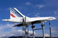 Saimon J Rodriguez   -   Canary Islands Spotting. Click to see full size photo