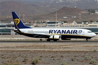 Alfonso Sols - Asociacin Canary Islands Spotting. Haz click para ampliar
