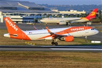 Miguel A. gueda Rguez.  (CANARY ISLANDS SPOTTING). Haz click para ampliar