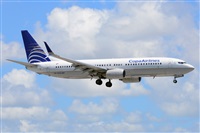 Miguel A. gueda Rguez.  (CANARY ISLANDS SPOTTING). Click to see full size photo
