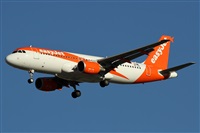 Alfonso Sols - Asociacin Canary Islands Spotting. Click to see full size photo