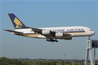 Miguel A. gueda Rguez.  (CANARY ISLANDS SPOTTING). Click to see full size photo