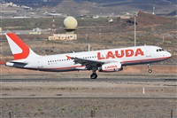 Miguel A. gueda Rguez.  (CANARY ISLANDS SPOTTING). Click to see full size photo