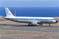 Miguel A. gueda Rguez.  (CANARY ISLANDS SPOTTING). Click to see full size photo