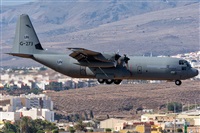 ©Adolfo Bento - Gran Canaria Spotters. Click to see full size photo ©Adolfo Bento - Gran Canaria Spotters. Click to see full size photo