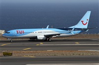 ©Alfonso Solís - Asociación Canary Islands Spotting. Click to see full size photo ©Alfonso Solís - Asociación Canary Islands Spotting. Click to see full size photo