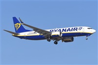 Miguel A. gueda Rguez.  (CANARY ISLANDS SPOTTING). Haz click para ampliar