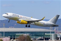 Miguel A. gueda Rguez.  (CANARY ISLANDS SPOTTING). Click to see full size photo