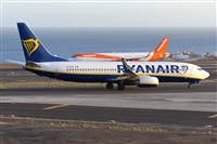 Miguel A. gueda Rguez.  (CANARY ISLANDS SPOTTING). Haz click para ampliar