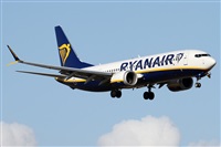 Alfonso Sols - Asociacin Canary Islands Spotting. Click to see full size photo