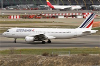 ©Alfonso Solís - Asociación Canary Islands Spotting. Click to see full size photo ©Alfonso Solís - Asociación Canary Islands Spotting. Click to see full size photo