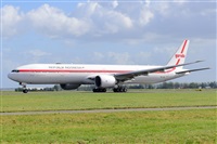 Miguel A. gueda Rguez.  (CANARY ISLANDS SPOTTING). Click to see full size photo