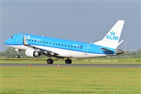 Miguel A. gueda Rguez.  (CANARY ISLANDS SPOTTING). Haz click para ampliar