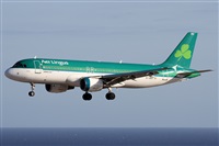 Alfonso Sols - Asociacin Canary Islands Spotting. Click to see full size photo