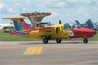 Adolfo Bento - Gran Canaria Spotters. Click to see full size photo
