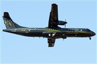La Roche Spotters. Click to see full size photo