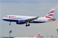 Miguel A. gueda Rguez.  (CANARY ISLANDS SPOTTING). Click to see full size photo