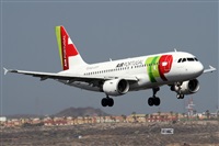 ©Alfonso Solís - Asociación Canary Islands Spotting. Click to see full size photo ©Alfonso Solís - Asociación Canary Islands Spotting. Click to see full size photo