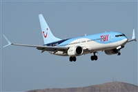 Alfonso Sols - Asociacin Canary Islands Spotting. Click to see full size photo
