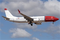 ©Adolfo Bento - Gran Canaria Spotters. Click to see full size photo ©Adolfo Bento - Gran Canaria Spotters. Click to see full size photo