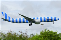Miguel A. gueda Rguez.  (CANARY ISLANDS SPOTTING). Click to see full size photo