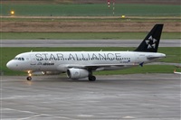 Adrin Alonso Lemes - Lanzarote Spotters. Click to see full size photo