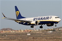 �Alfonso Sol�s - Asociaci�n Canary Islands Spotting. Click to see full size photo