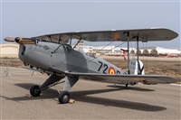 �Adolfo Bento - Gran Canaria Spotters. Click to see full size photo