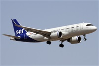 ©Alfonso Solís - Asociación Canary Islands Spotting. Click to see full size photo ©Alfonso Solís - Asociación Canary Islands Spotting. Click to see full size photo