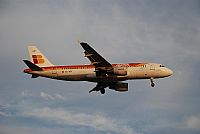 Rubn Gil - Noisy Spotters. Click to see full size photo
