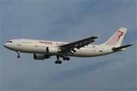 Jos Miguel Bernases - Noisy Spotters. Click to see full size photo
