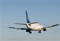 Luciano de la Rosa Gutirrez (Tenerife) Canary Islands Spotting. Click to see full size photo