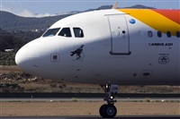Ayoze Santana Mendez - Canary Islands Spotting. Haz click para ampliar