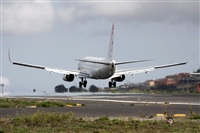 Ayoze Santana Mendez - Canary Islands Spotting. Click to see full size photo