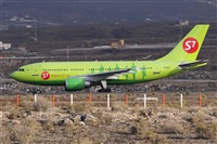 Alfonso Sols - Asociacin Canary Islands Spotting. Click to see full size photo