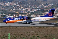 Miguel A. gueda Rguez.  (CANARY ISLANDS SPOTTING). Click to see full size photo