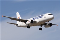 Alfonso Sols - Asociacin Canary Islands Spotting. Haz click para ampliar