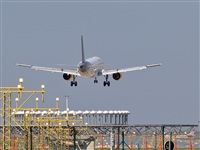 Manuel Noisy Spotters. Click to see full size photo