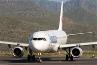 Javier de la Cruz - CANARY ISLANDS SPOTTING. Click to see full size photo