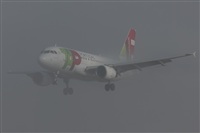 Rodrigo Carvalho - Noisy Spotters. Click to see full size photo