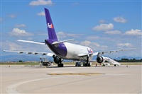 Miguel A. gueda Rguez.  (CANARY ISLANDS SPOTTING). Click to see full size photo