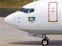Javier de la Cruz - CANARY ISLANDS SPOTTING. Haz click para ampliar