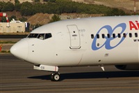 ©Salvador de la Rubia ( Marbella Spotters ). Click to see full size photo ©Salvador de la Rubia ( Marbella Spotters ). Click to see full size photo